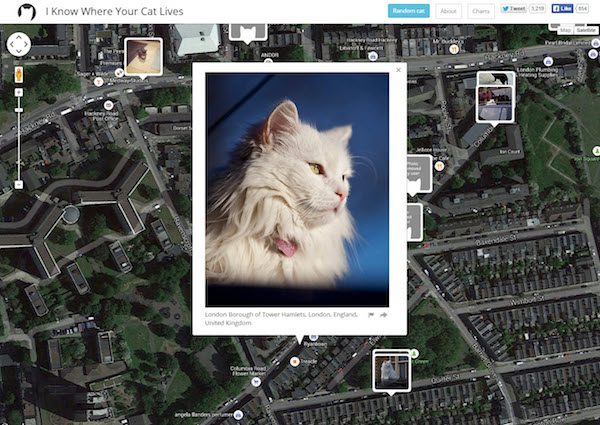 I know where your cat lives