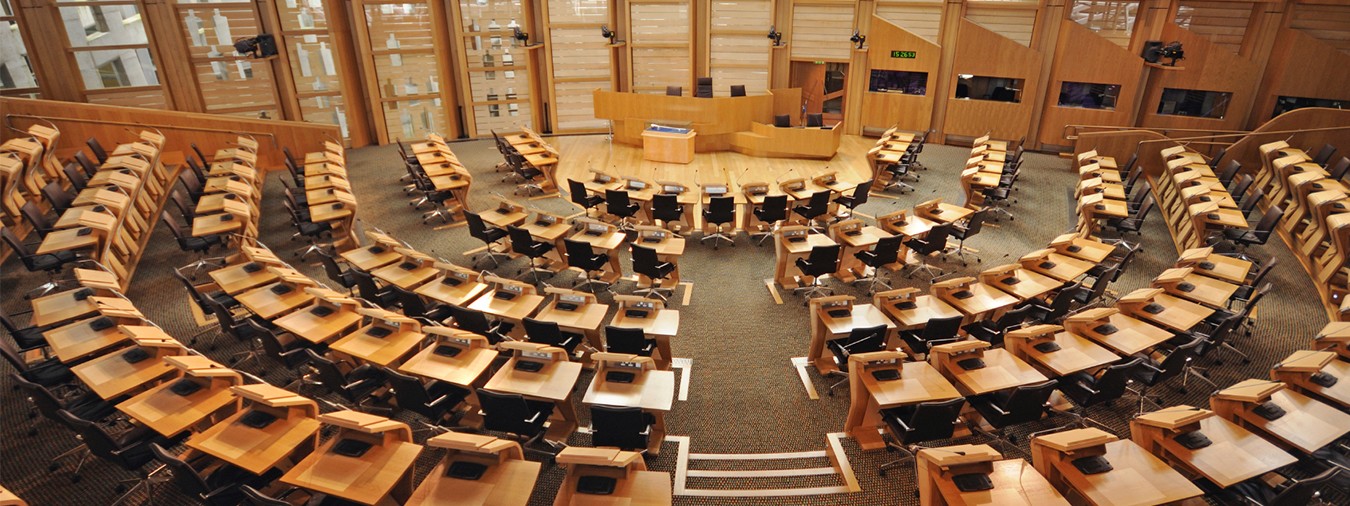 Government Large