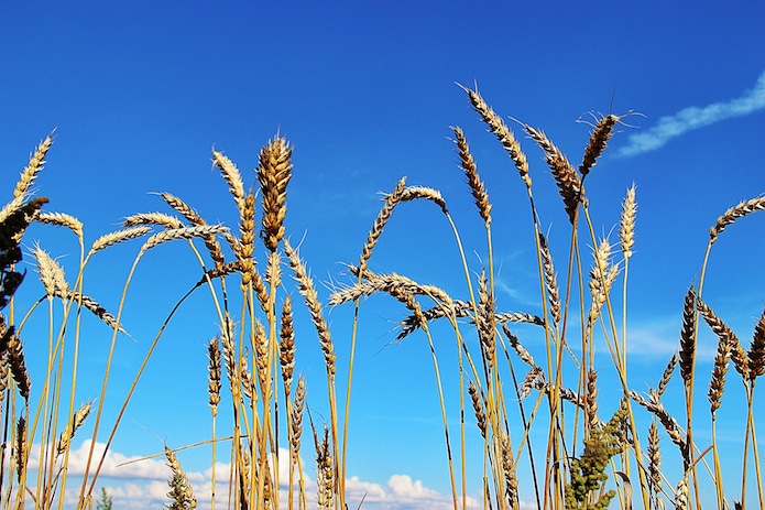 How open data can support land use for the common good