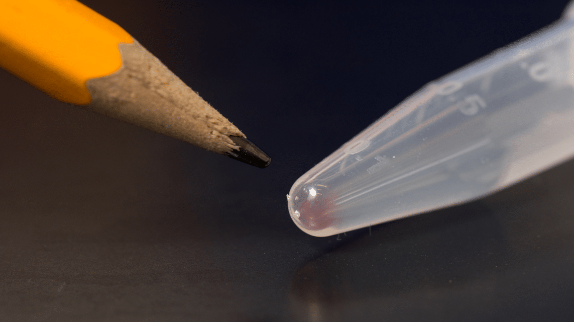 DNA could be the perfect place to store our data
