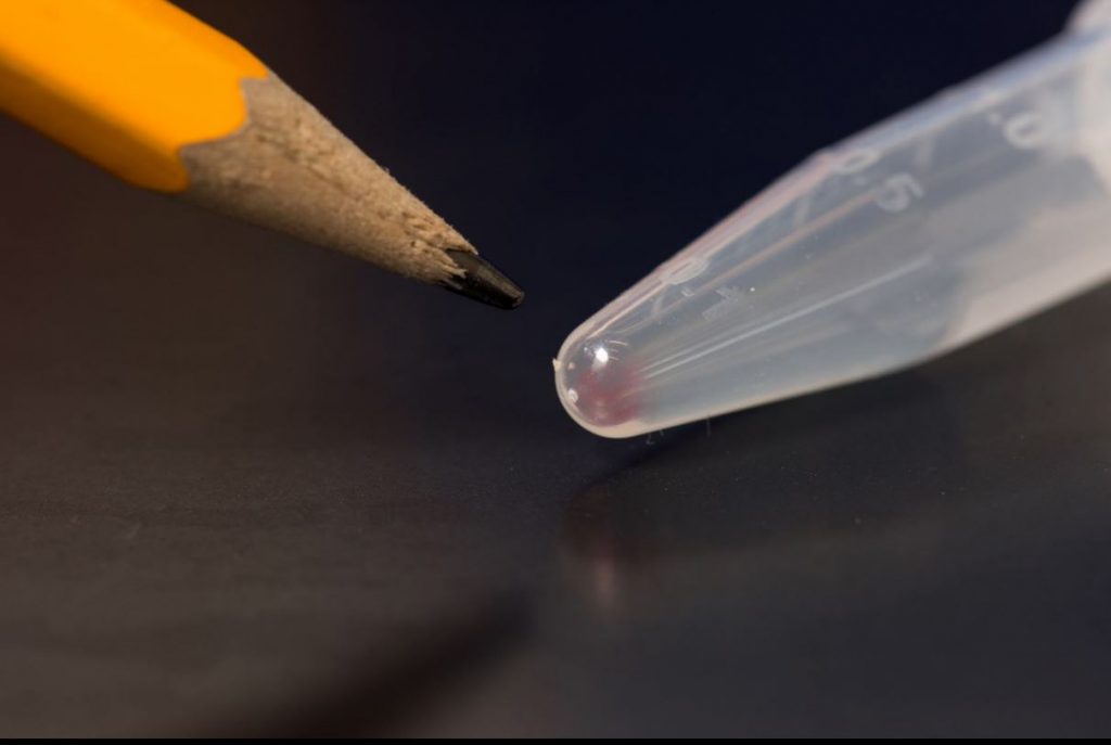 Microsoft and University of Washington researchers set record for DNA storage