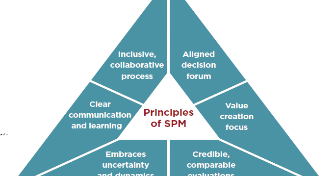 The 6 Principles of Strategic Portfolio Management