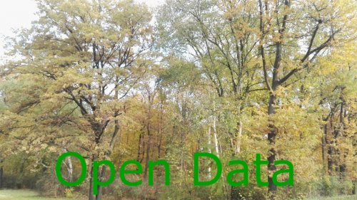 Forests and open data