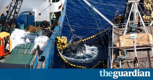 The latest weapon in the fight against illegal fishing? Artificial intelligence