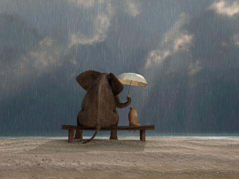 Data Governance Comes in All Shapes and Sizes