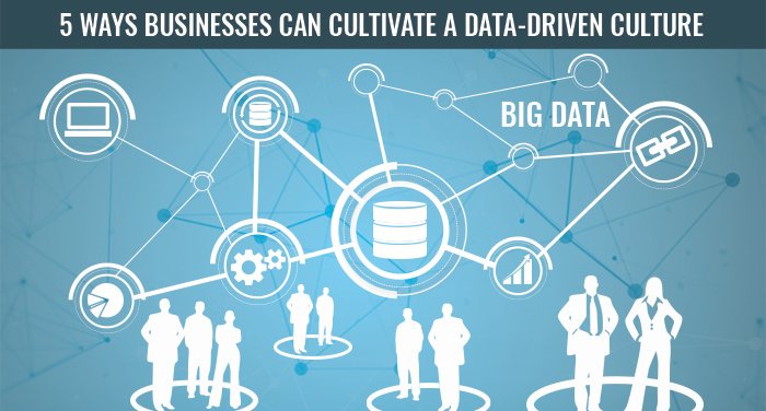 5 Ways Businesses Can Cultivate a Data Driven Culture