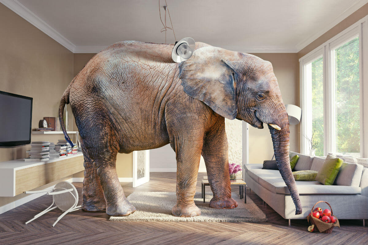 The Big Impact of Big Data on Hotels and Their Guests