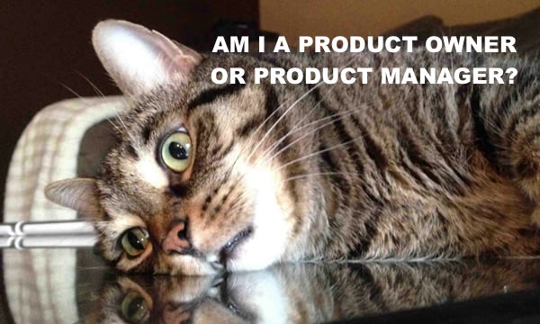 Product Manager vs. Product Owner