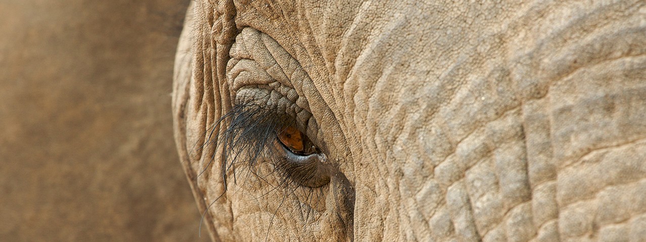 Beyond Hadoop