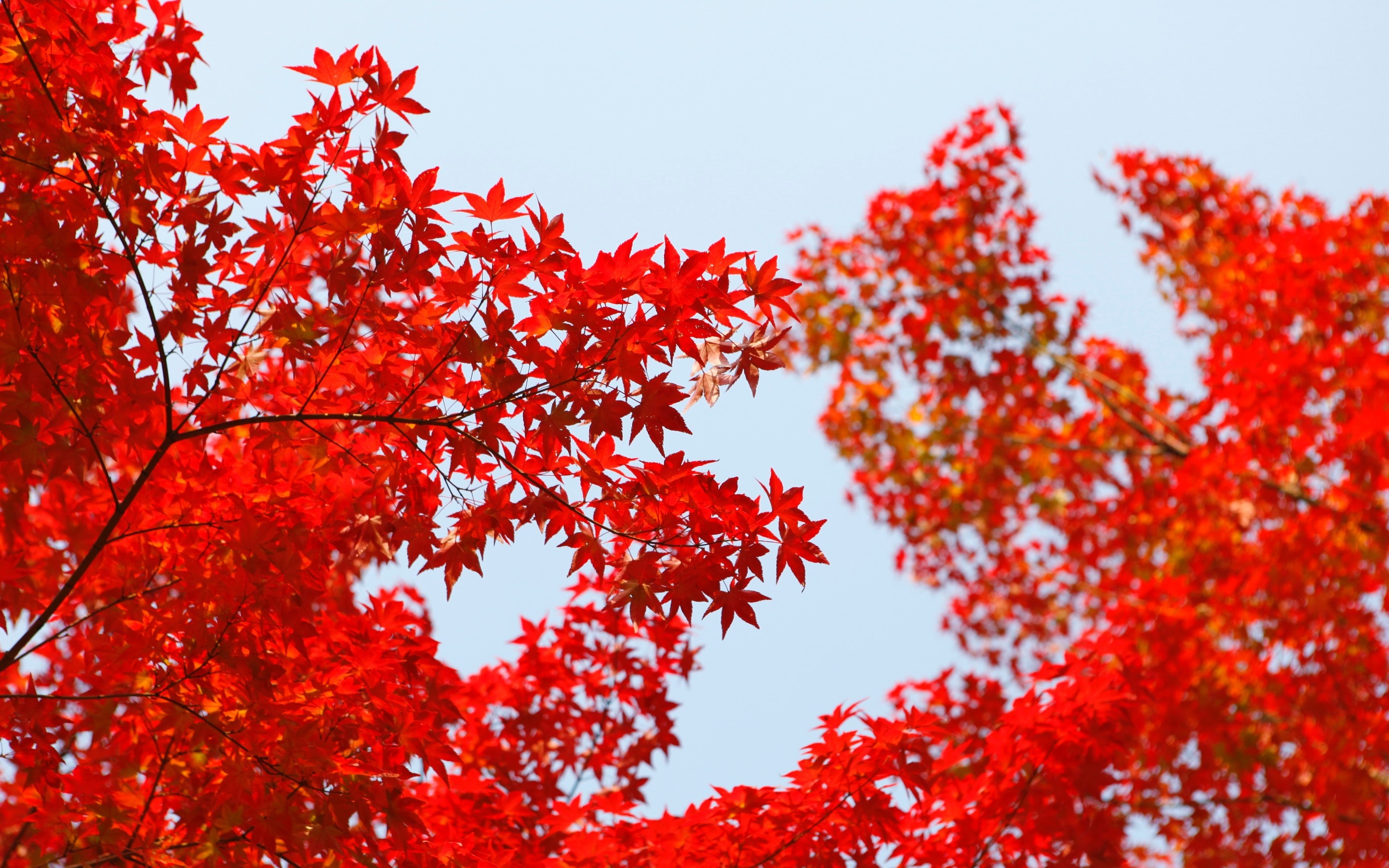 Why Data Quality Should Be the Red Thread of your Data Strategy [Interview]