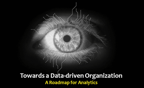 Towards a Data-driven Organization: A Roadmap for Analytics