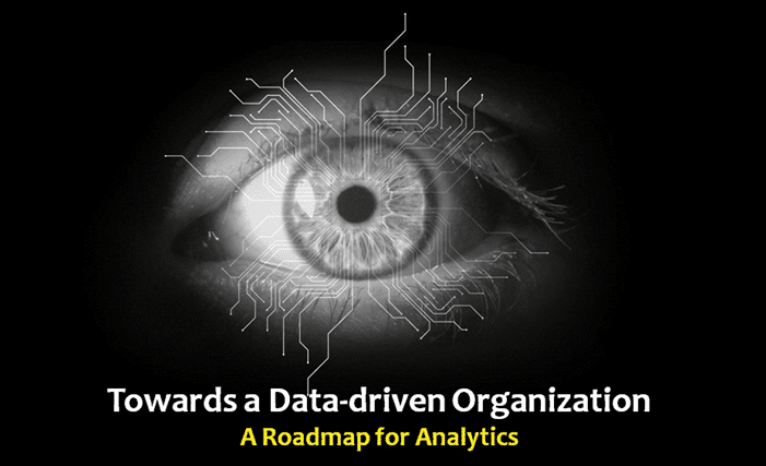 Towards a Data driven Organization: A Roadmap for Analytics