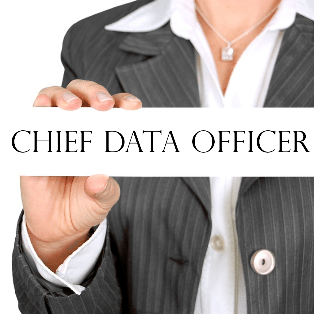 Big Data’s Person of the Year: The Chief Data Officer