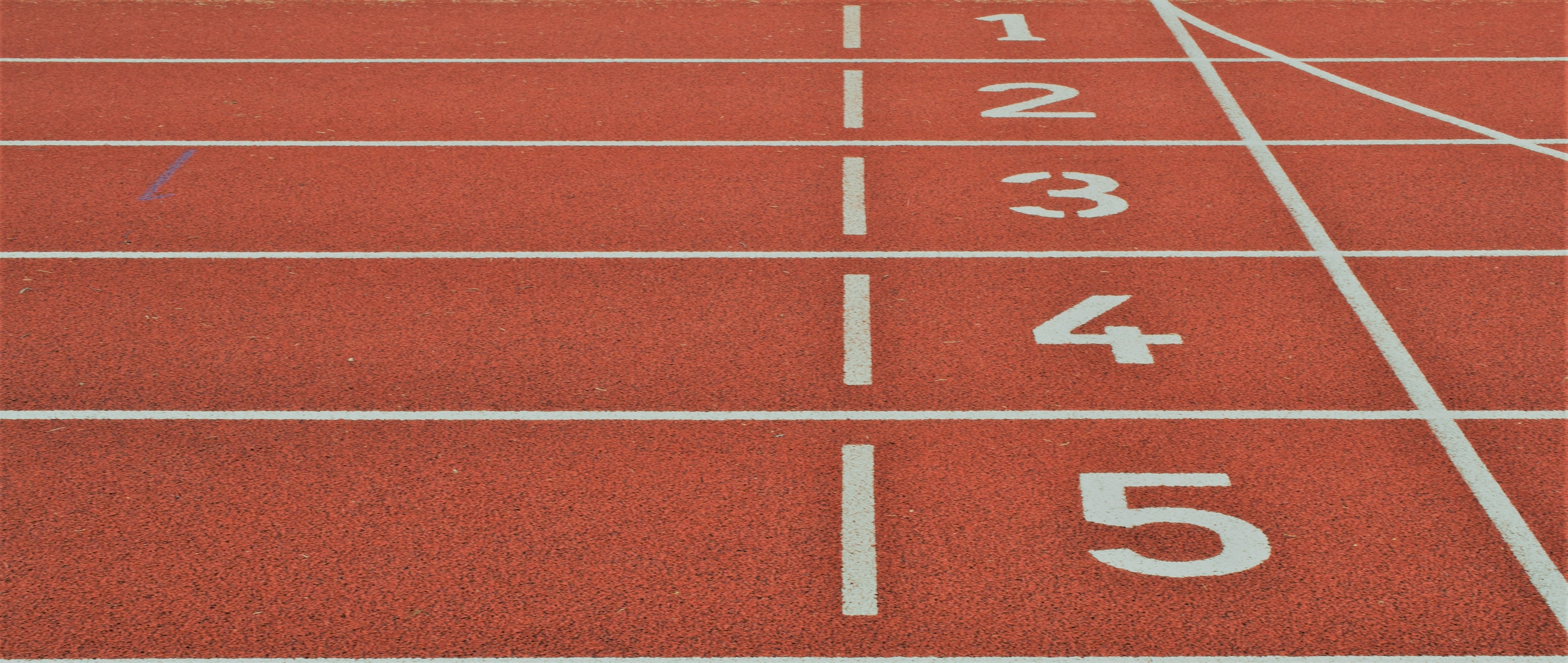 Five Steps to Guarantee a Successful Master Data Management Implementation