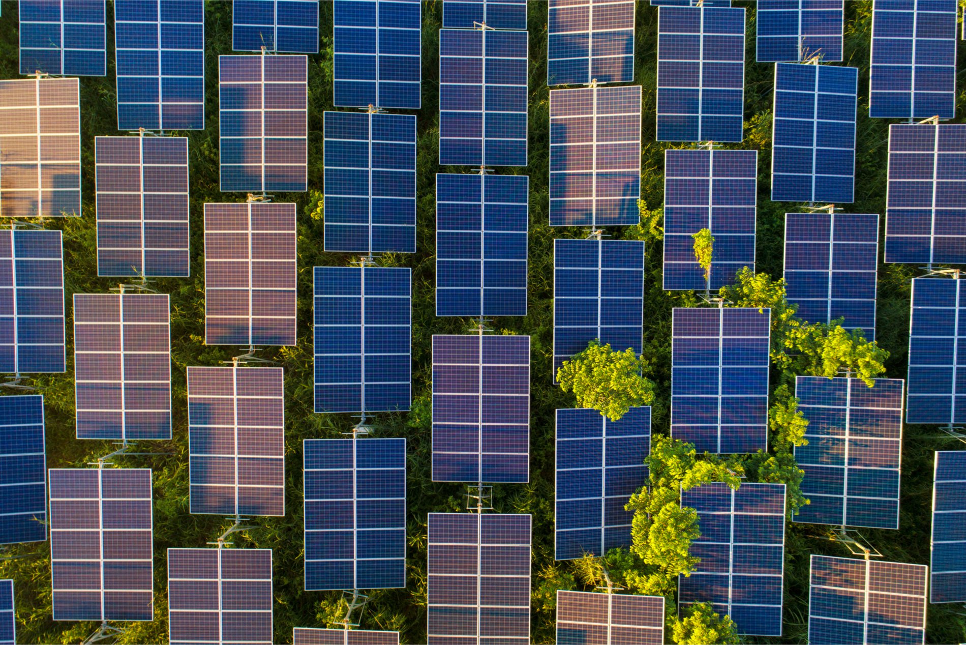 Ethereum Energy Project Now Powers 700 Households in 10 Cities