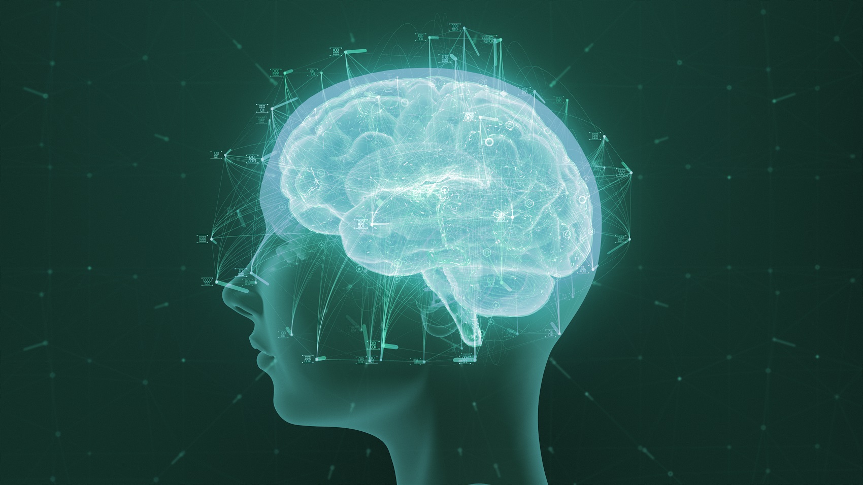 Artificial Intelligence: The Next 24 Months