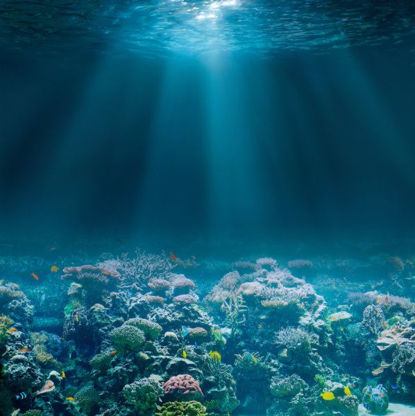 Use of robots and artificial intelligence to understand the deep sea
