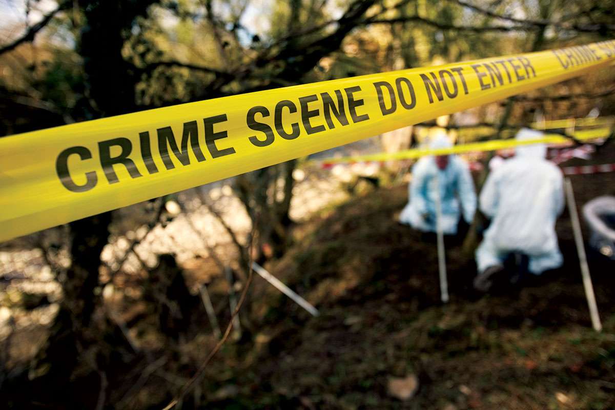 AI detective analyses police data to learn how to crack cases
