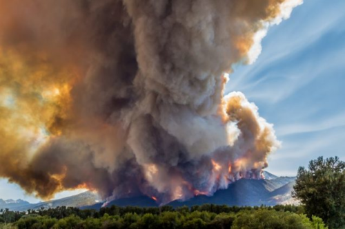 Harnessing Big Data and Machine Learning to Forecast Wildfires in the Western U.S.