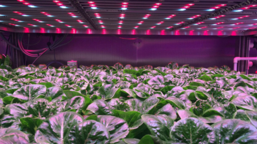 The Technologies Changing How We Grow