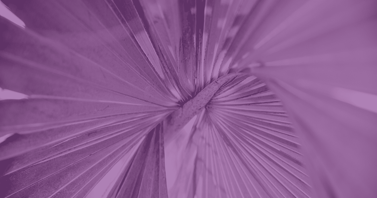 Inside Out vs. Outside In: The Adoption of New Technologies