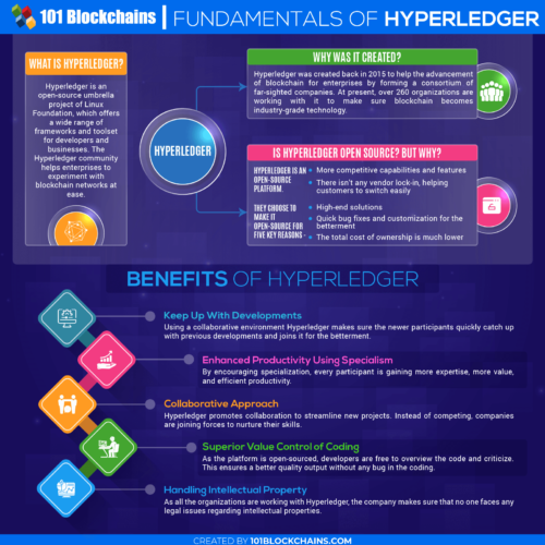 Hyperledger: The Enterprise Blockchain
