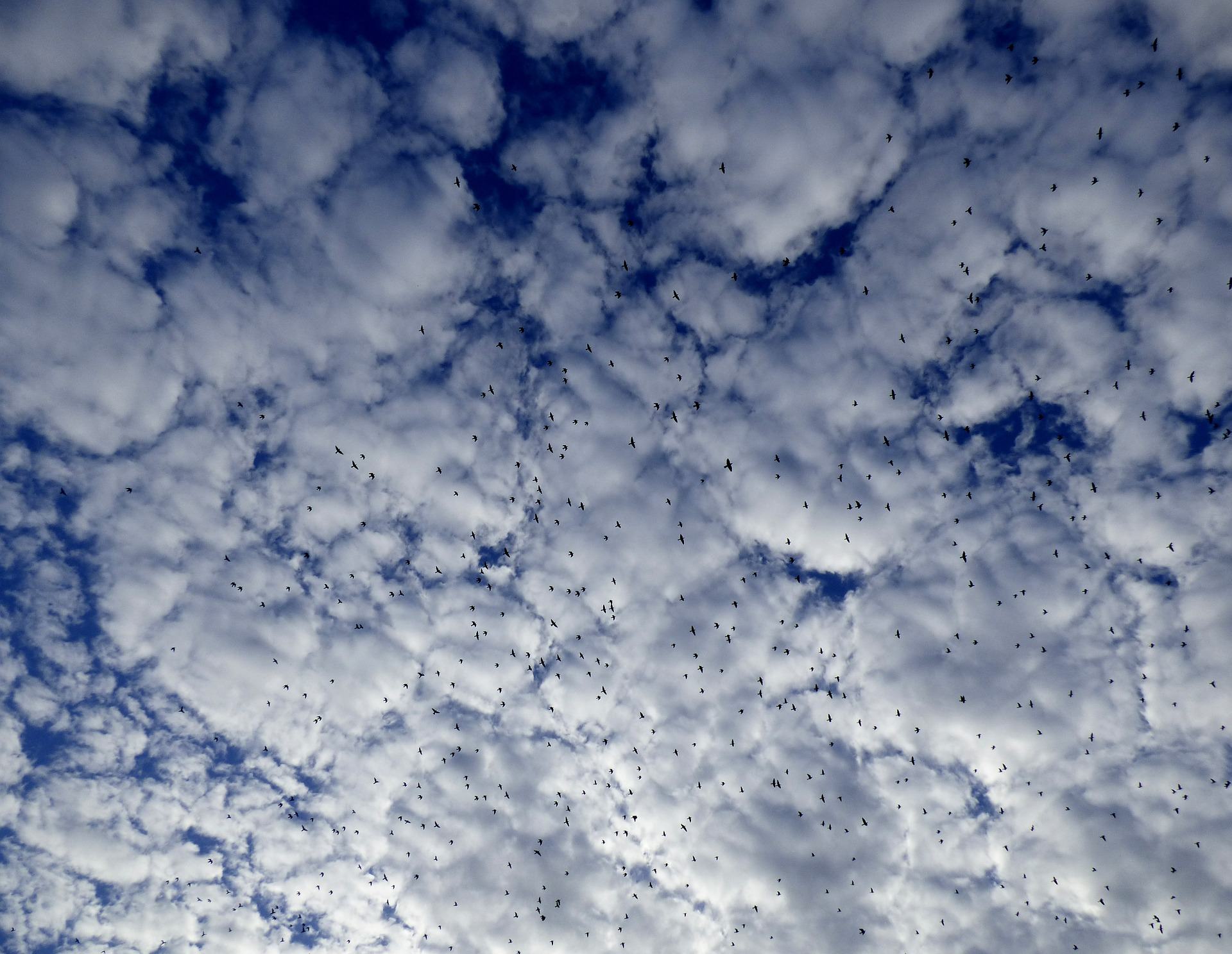 8 Tips for Deploying a Seamless Cloud Migration Strategy