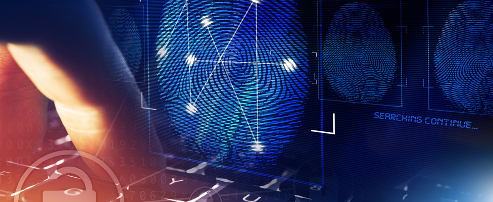 Eight Ways Data Governance Builds a Positive Company Culture