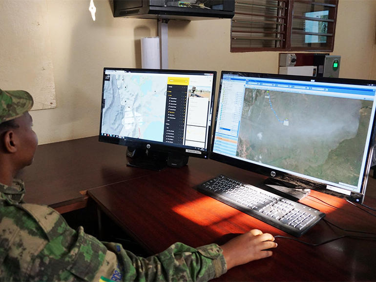 GPS collars for lions and cheetahs: How IoT and open source are protecting rare animals