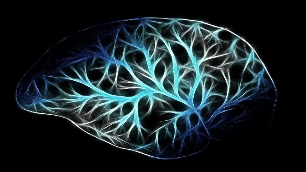 A New Brain Inspired Learning Method for AI Saves Memory and Energy
