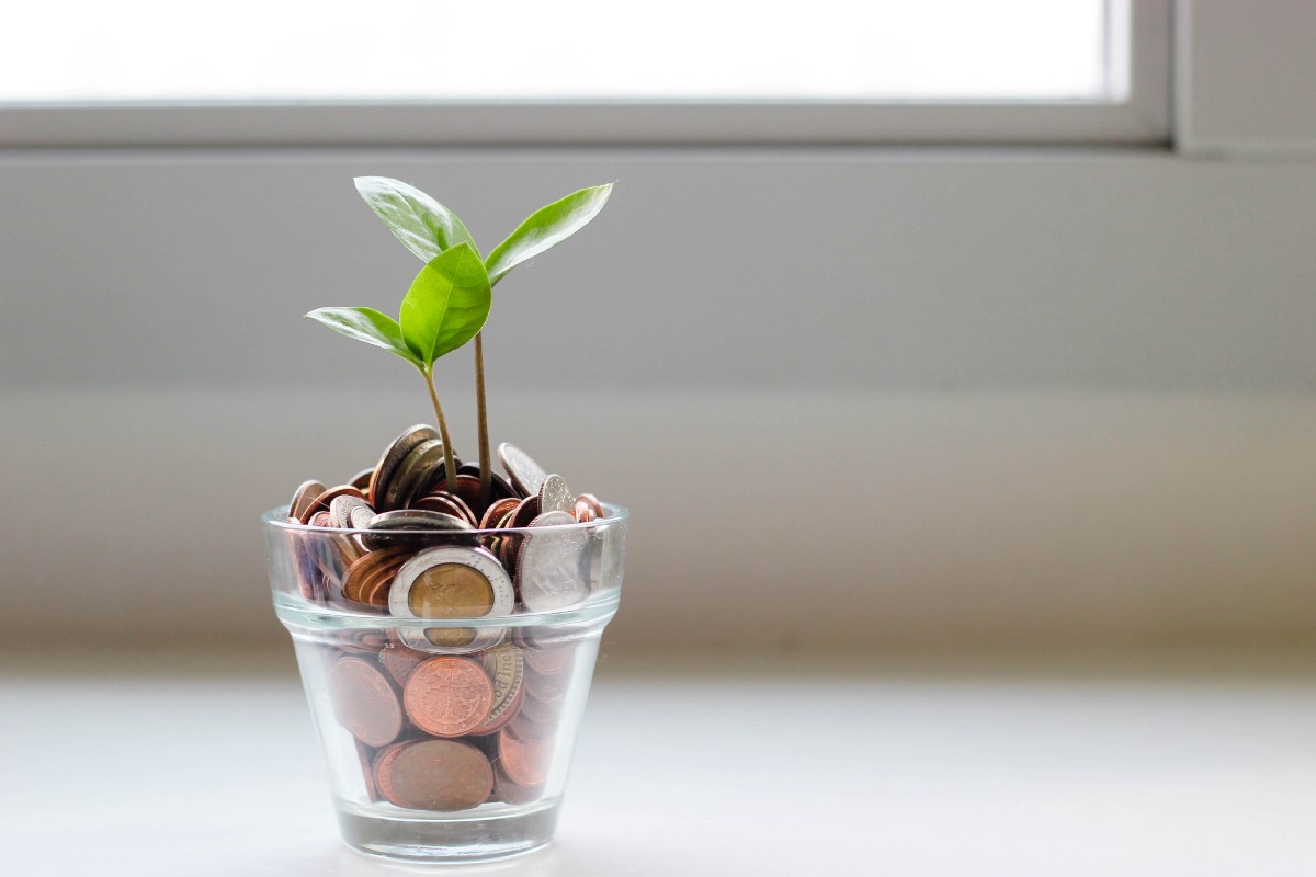 AI for revenue growth: using ML to drive more valuable pricing