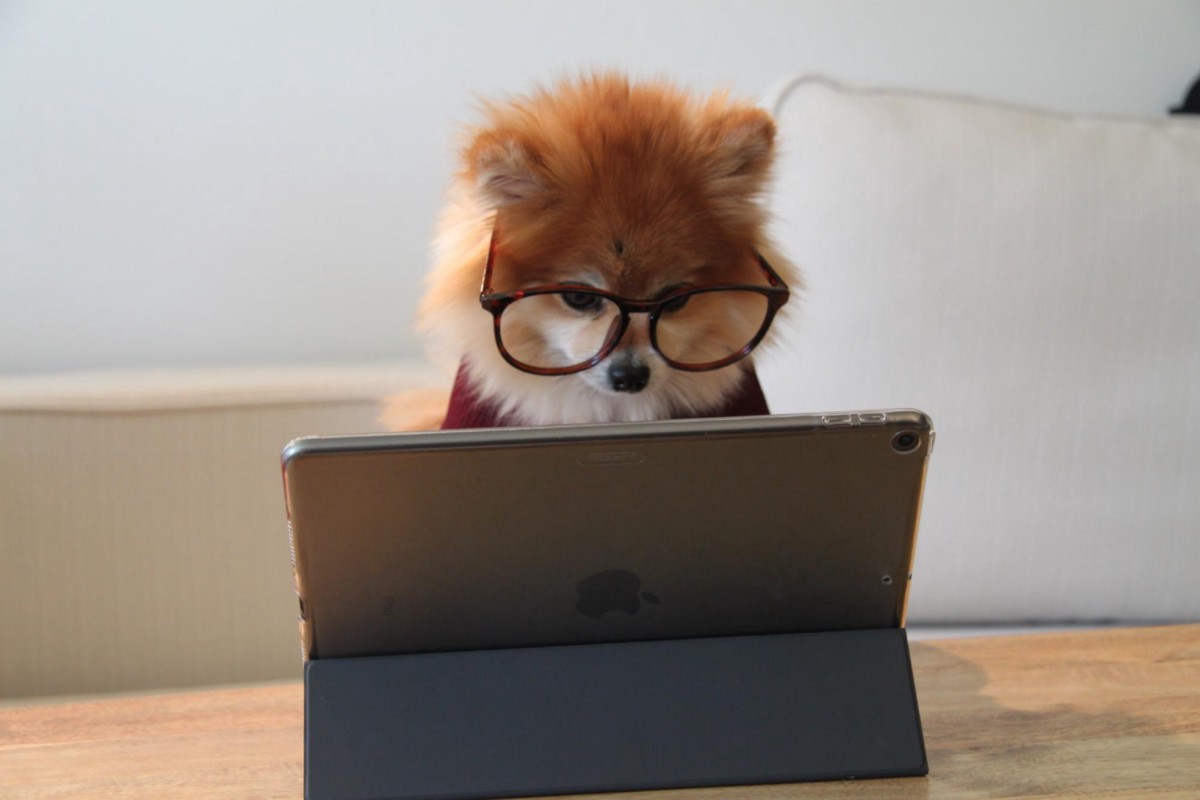 Why Hiring a Data Analyst Won’t Solve Your Business Problems