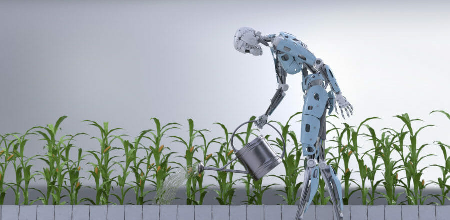 Using AI to grow your business and create enterprise value