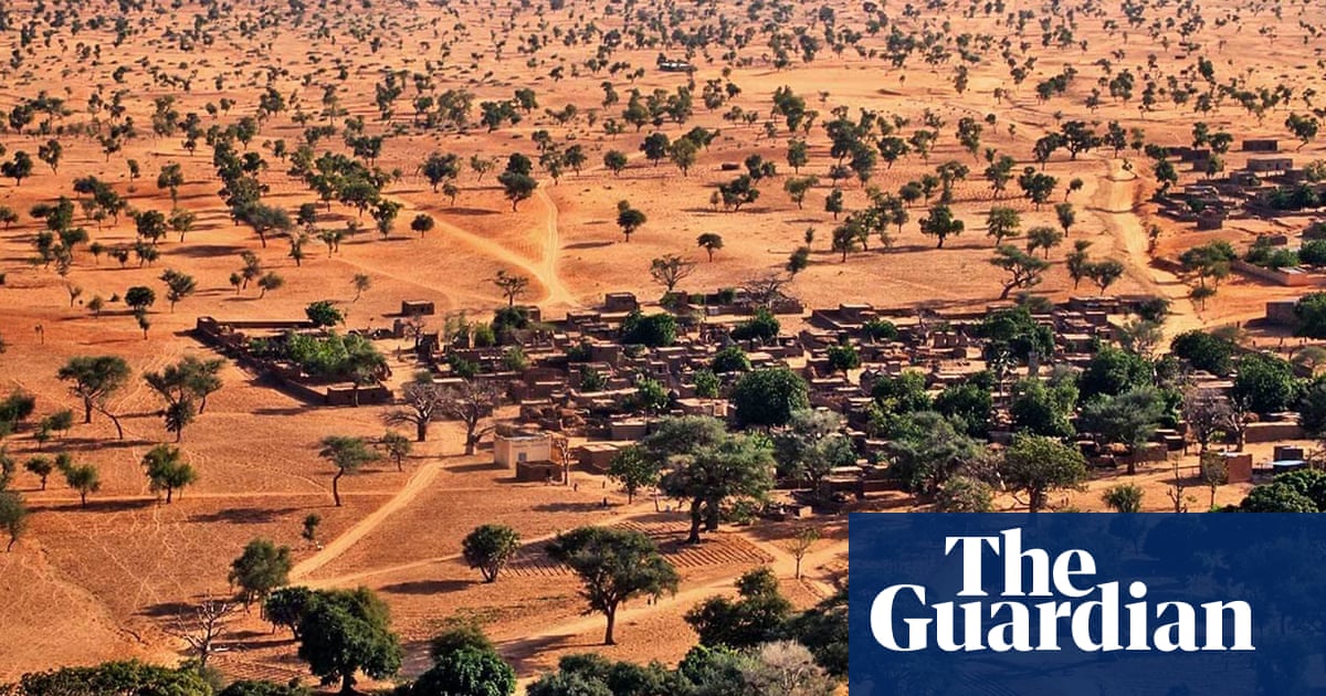 One, two, tree: how AI helped find millions of trees in the Sahara