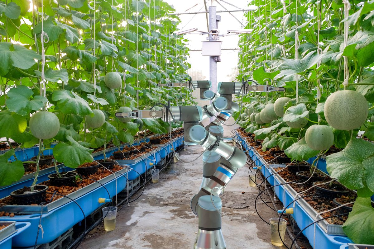 4 Ways Artificial Intelligence Will Drive Digital Transformation In Agriculture