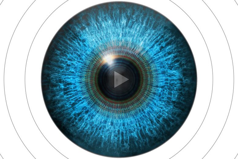 Using Artificial Intelligence to Improve the Way Videos Are Organized