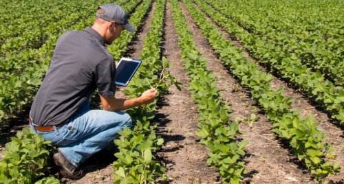 IoT Technology in Agriculture