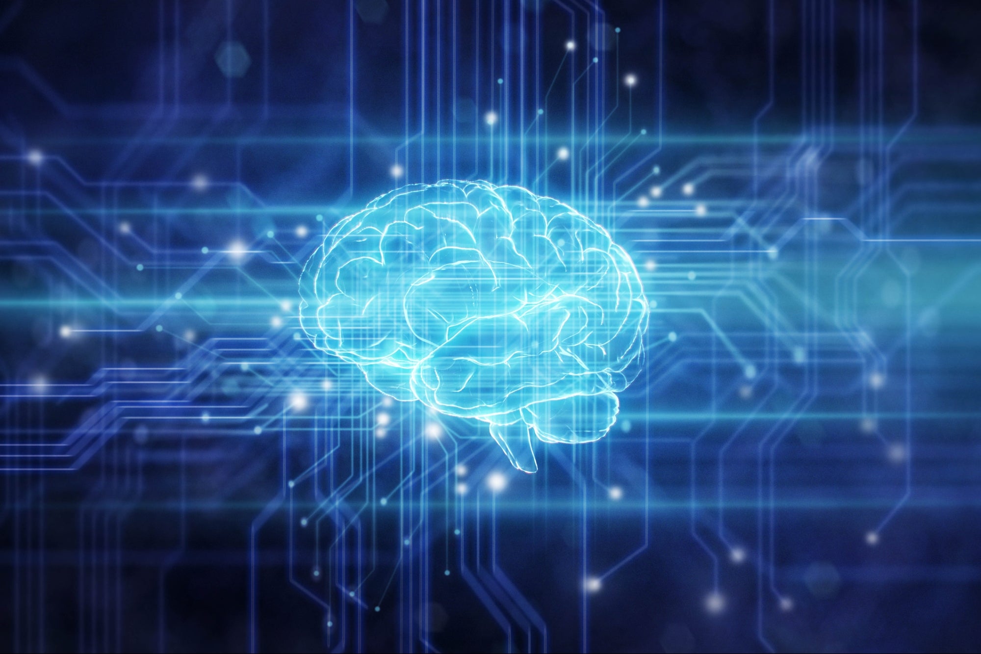 The 3 Principals of Building Anti Bias AI