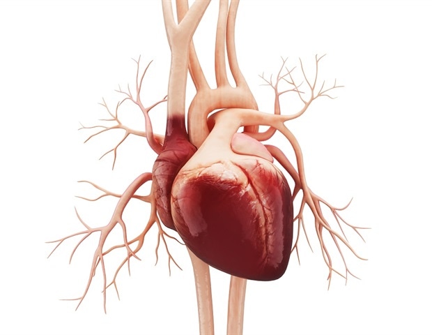 New AI based computer algorithm may enable quicker diagnosis of heart failure