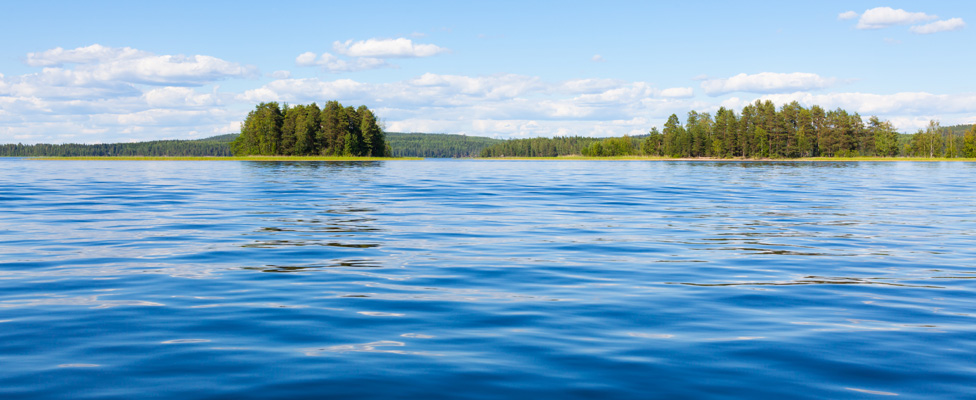 The Data Lakehouse: Bridging Information Gaps in the Enterprise