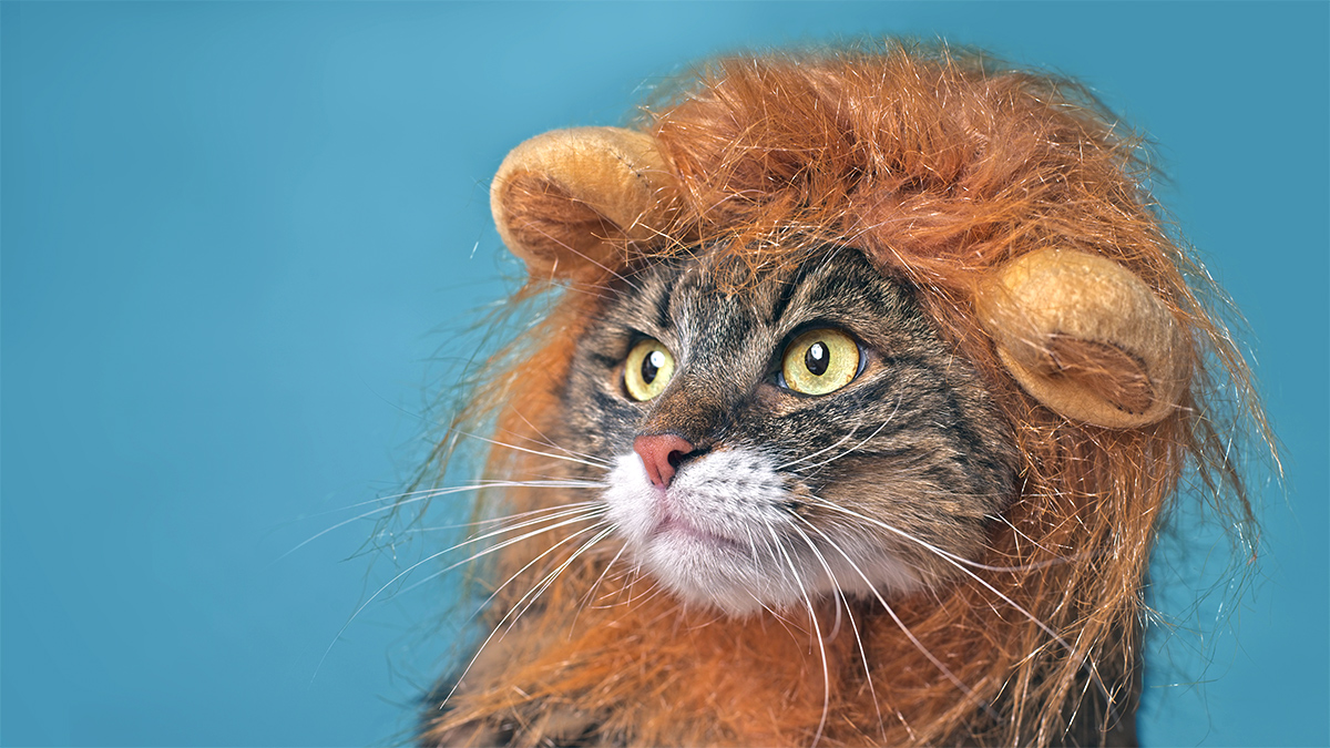 What Courageous Leaders Do Differently