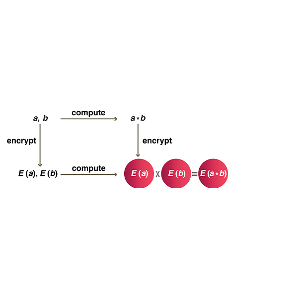 Private Artificial Intelligence: Machine Learning on Encrypted Data