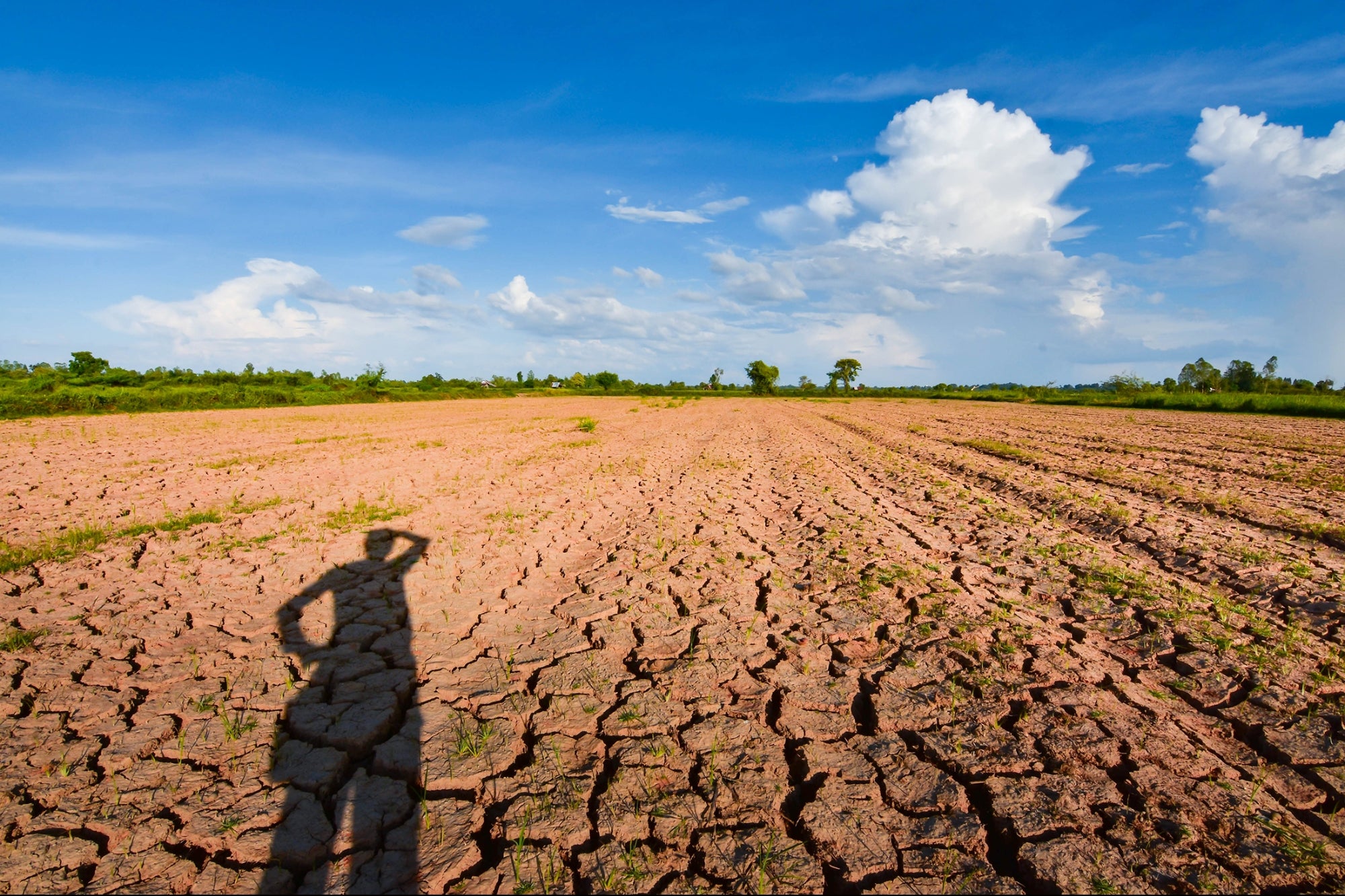 Farmers Don't Have Enough Water. Can AI Help?