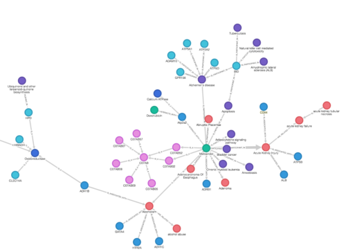 How Knowledge Graphs Will Transform Data Management And Business