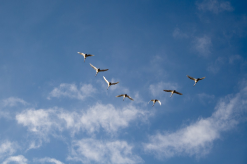 7 Components of a Successful Data Migration