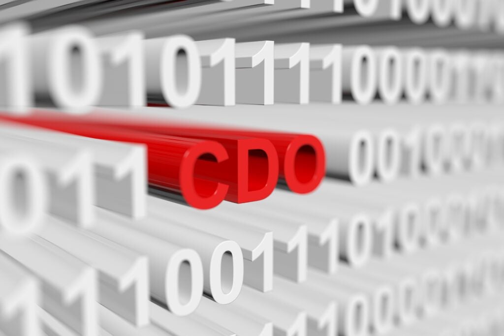 How to define an empowered chief data officer